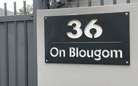 36 On Blougom